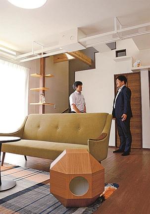 キャットタワーやキャットウォークを取り入れた室内＝松江市東津田町