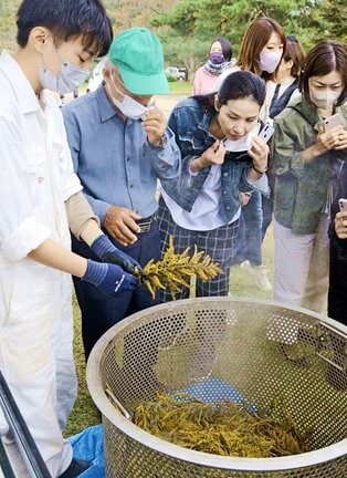 蒸留したセイタカアワダチソウの香りを嗅ぐ参加者＝大田市三瓶町