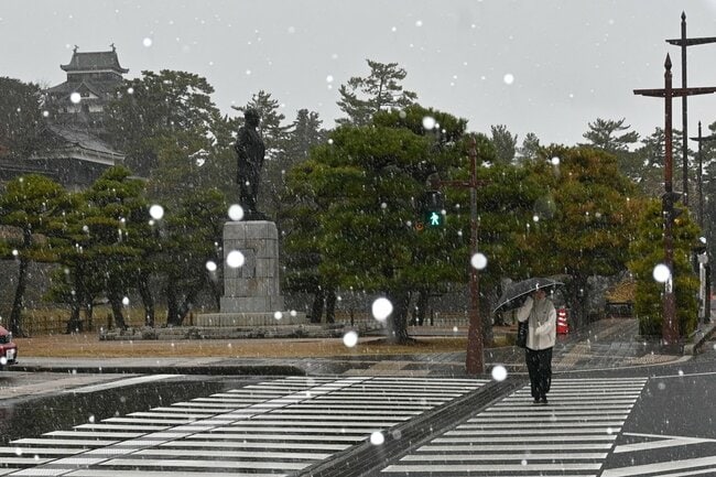 雪の中を傘を差して歩く通行人＝松江市殿町