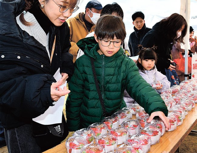 イチゴの食べ比べパックを品定めする来場者＝安来市中海町、道の駅あらエッサ